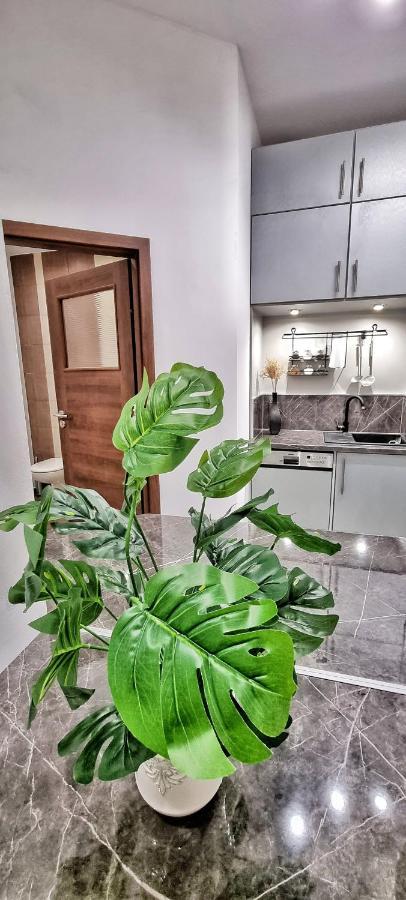 Apartament Kaczyniec 10 Gliwice Exterior foto